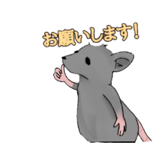 [LINEスタンプ] 奇想天外アニマルズ