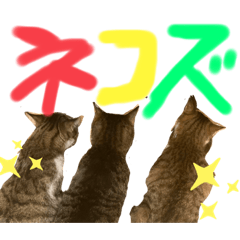 [LINEスタンプ] ネコズスタンプ3