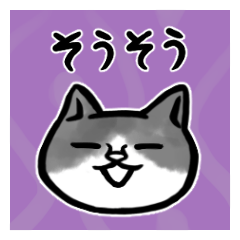 [LINEスタンプ] ポルネコ【つぶにゃき02】