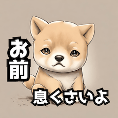 [LINEスタンプ] キレる柴犬のスタンプ