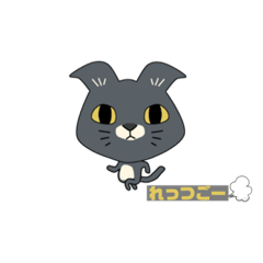 [LINEスタンプ] 猫のScotyスタンプ