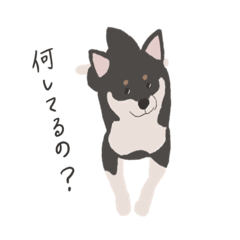 [LINEスタンプ] 日常で使える黒柴