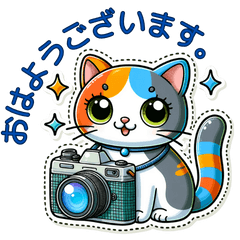 [LINEスタンプ] カメラマンにゃんこ