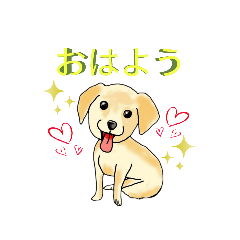 [LINEスタンプ] HAYATO-TAKACHOJI お犬のスタンプ 壱