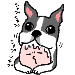 [LINEスタンプ] ボストンテリアといでこさん犬の日スタンプ