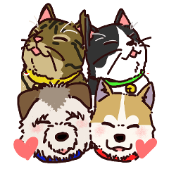 [LINEスタンプ] うちの雑種犬と雑種猫