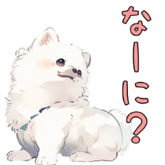 [LINEスタンプ] 白いポメちゃん