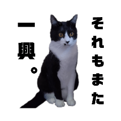 [LINEスタンプ] ガブリエルその8