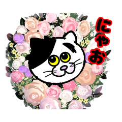 [LINEスタンプ] 黒たびにゃんこの冬バージョン