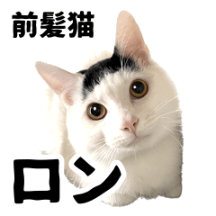 [LINEスタンプ] 前髪猫ロン