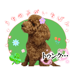 [LINEスタンプ] Cyacyaスタンプ