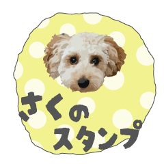 [LINEスタンプ] トイプーさくちゃんのスタンプ