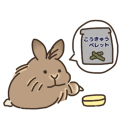 [LINEスタンプ] ふわふわうさぎのけだま