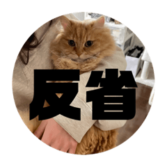 [LINEスタンプ] レオの生活のスタンプ