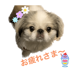 [LINEスタンプ] ペキ モコちゃん