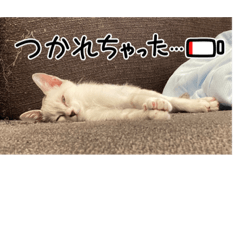 [LINEスタンプ] マリンの日常①