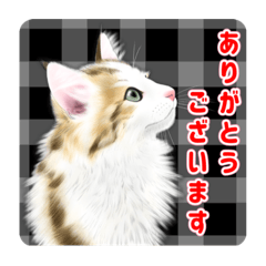 [LINEスタンプ] かわいい動物＊似顔絵スタンプ＊猫犬など