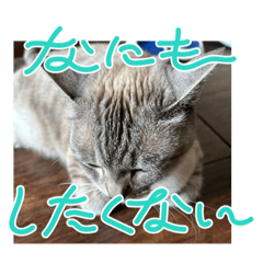 [LINEスタンプ] まだまだ あさりちゃん