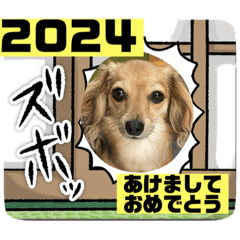 [LINEスタンプ] くるみちゃん2024  その1