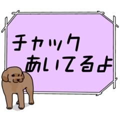 [LINEスタンプ] 使いやすいプードルスタンプ！