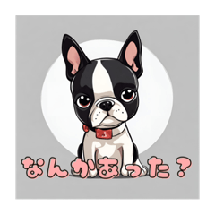 [LINEスタンプ] ボストンテリア？