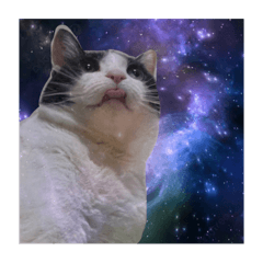 [LINEスタンプ] 宇宙猫(あくびver.)