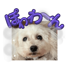[LINEスタンプ] ひなたちゃんスタンプ第6弾