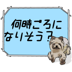 [LINEスタンプ] 使いやすいヨークシャーテリアスタンプ