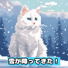 [LINEスタンプ] ウィンター・ワンダーランド・スタンプ