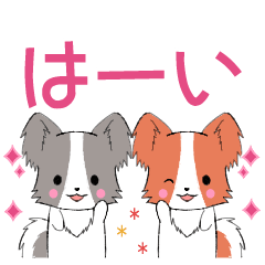 [LINEスタンプ] 飛び出す！ちびパピヨン1