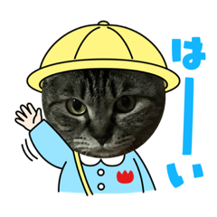 [LINEスタンプ] 家のにゃん子 第二弾