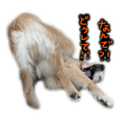 [LINEスタンプ] ととまめ