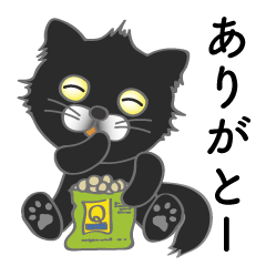 [LINEスタンプ] 可愛い黒猫のボブの画像（メイン）