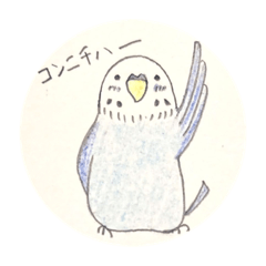 [LINEスタンプ] インコさん！！