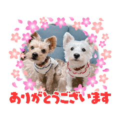 [LINEスタンプ] ムックとトニー＆妹