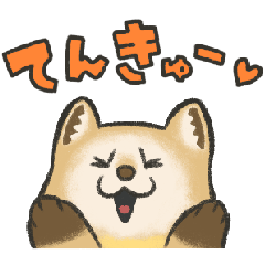 [LINEスタンプ] かわいいテンの目がテン！毎日スタンプ