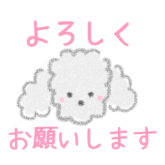 [LINEスタンプ] ふんわりプードルのお世話スタンプ