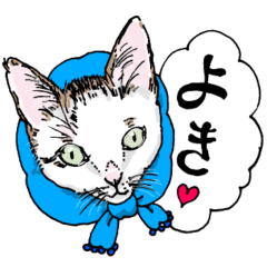 [LINEスタンプ] にゃんズ 秋冬コレクション