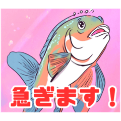 [LINEスタンプ] おさかなくーラブ