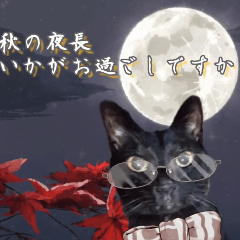 [LINEスタンプ] 飛び出す黒猫ハルとロビンの秋