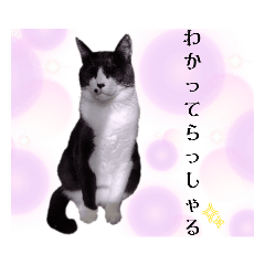 [LINEスタンプ] ガブリエルその9