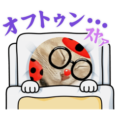 [LINEスタンプ] 家のにゃん子 1