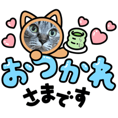 [LINEスタンプ] 家のにゃん子 第3弾