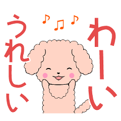 [LINEスタンプ] 飛び出す！ちびプードル1