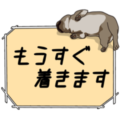 [LINEスタンプ] 使いやすいパグスタンプ