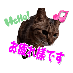 [LINEスタンプ] ポポ様スタンプ01