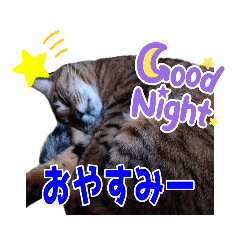 [LINEスタンプ] ポポ様スタンプ02