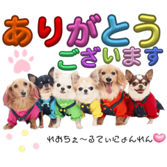 [LINEスタンプ] なかよし6わんず