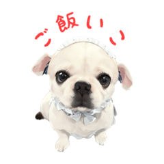 [LINEスタンプ] メイド犬？