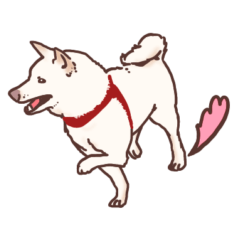 [LINEスタンプ] らんちゃん（イッヌ）のスタンプ